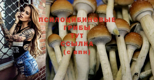гашишное масло Алексеевка