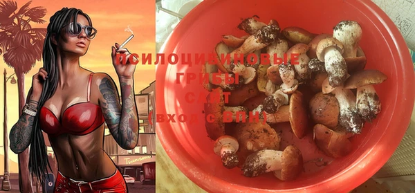МДПВ Абинск