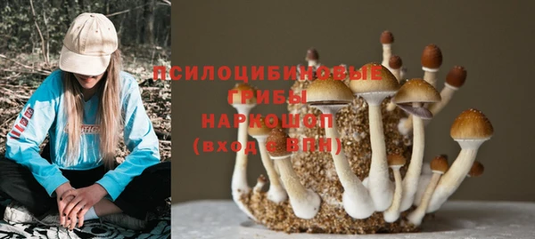 молекула духа Алзамай